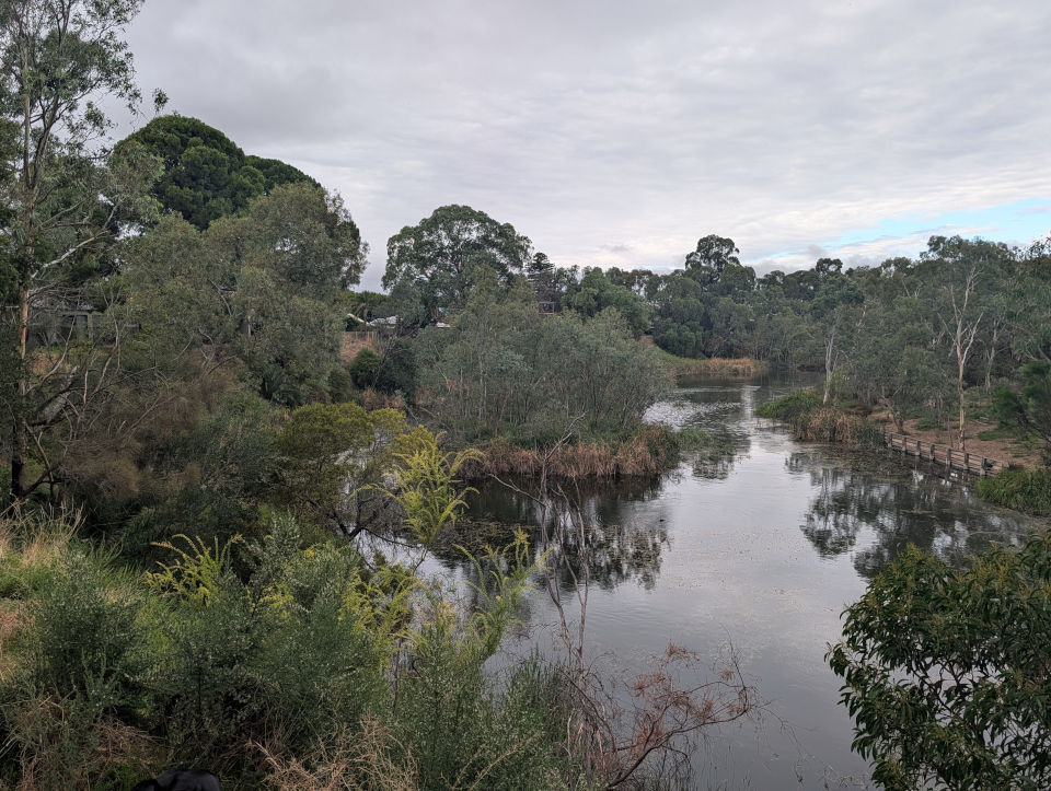 View over top of billabong