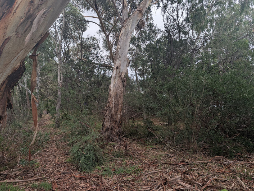 Photo of area being fenced off by council.