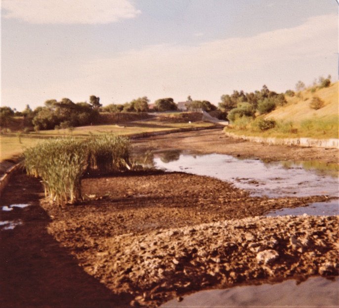 Photo from Pickering Weir looking south to Pitt Weir, 1977